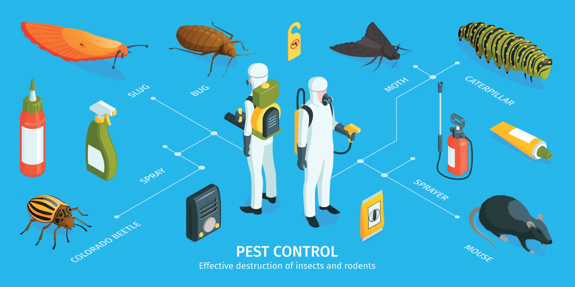 Pest Control Isometric Infographics 3417668 Vector Art at Vecteezy