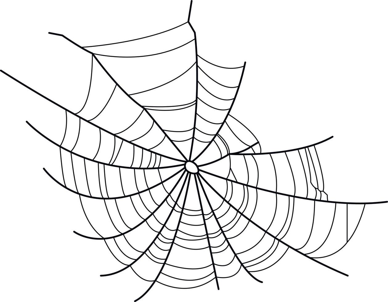 Vector image of a spider web. Spider web without a spider.