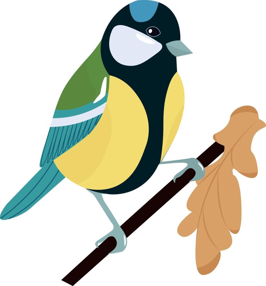 Tit on a branch. Bird with an autumn branch on a white background. vector