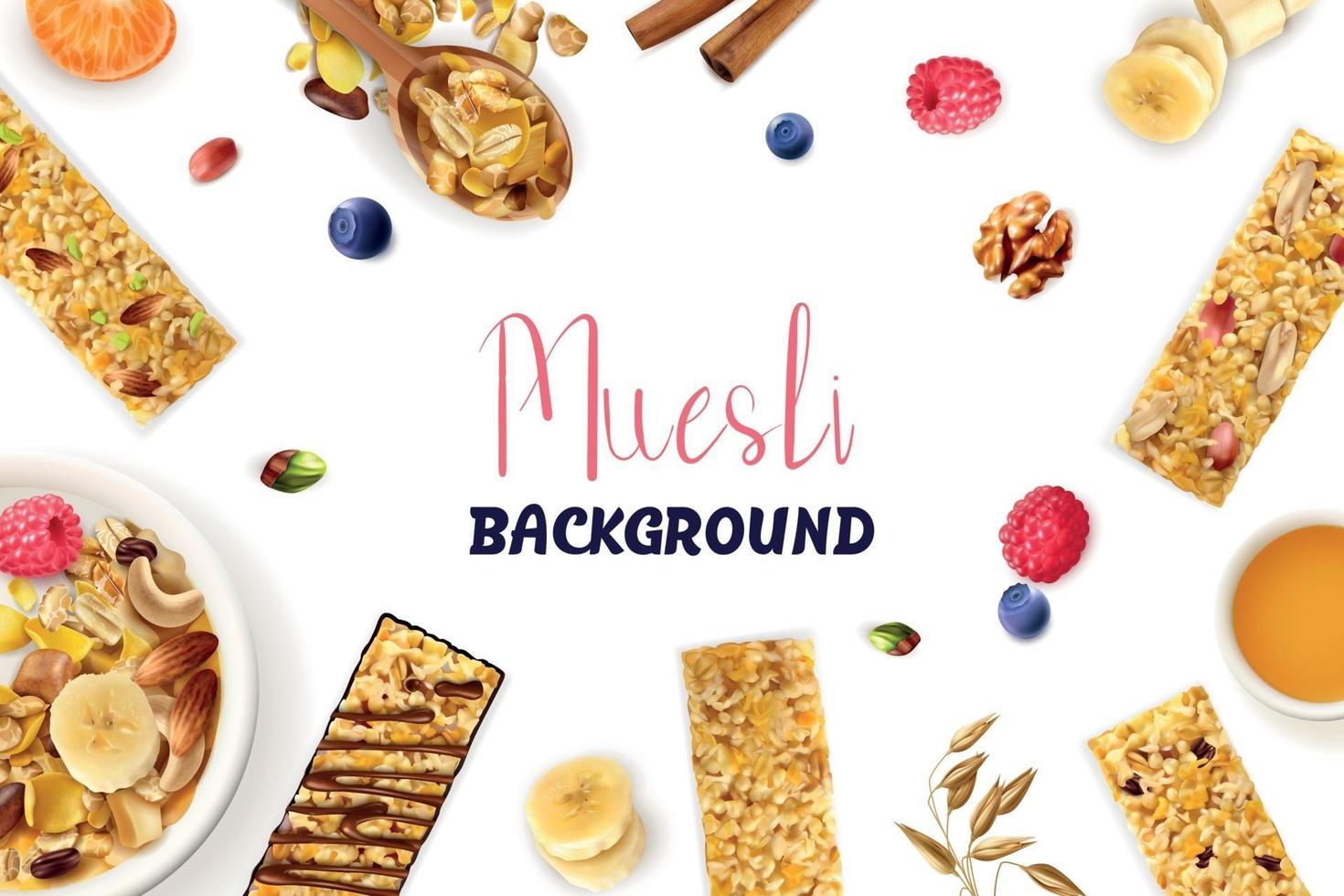 Muesli Realistic Frame vector