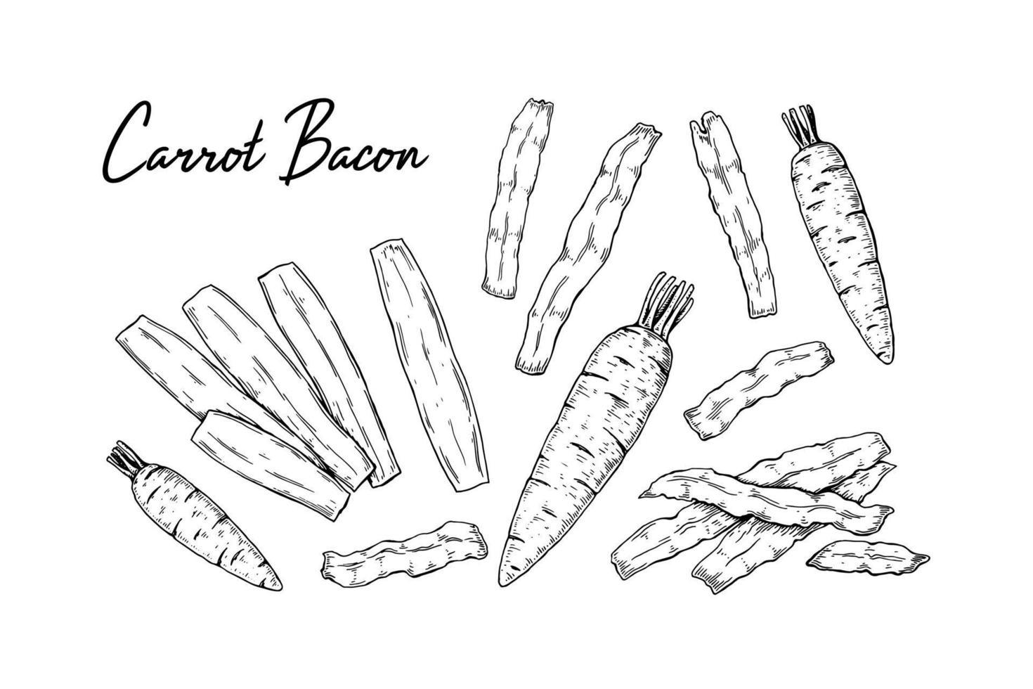 conjunto de tocino de zanahoria dibujado a mano. ilustración vectorial en estilo boceto vector