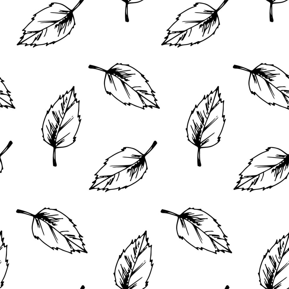 Autumn leaves seamless pattern vector