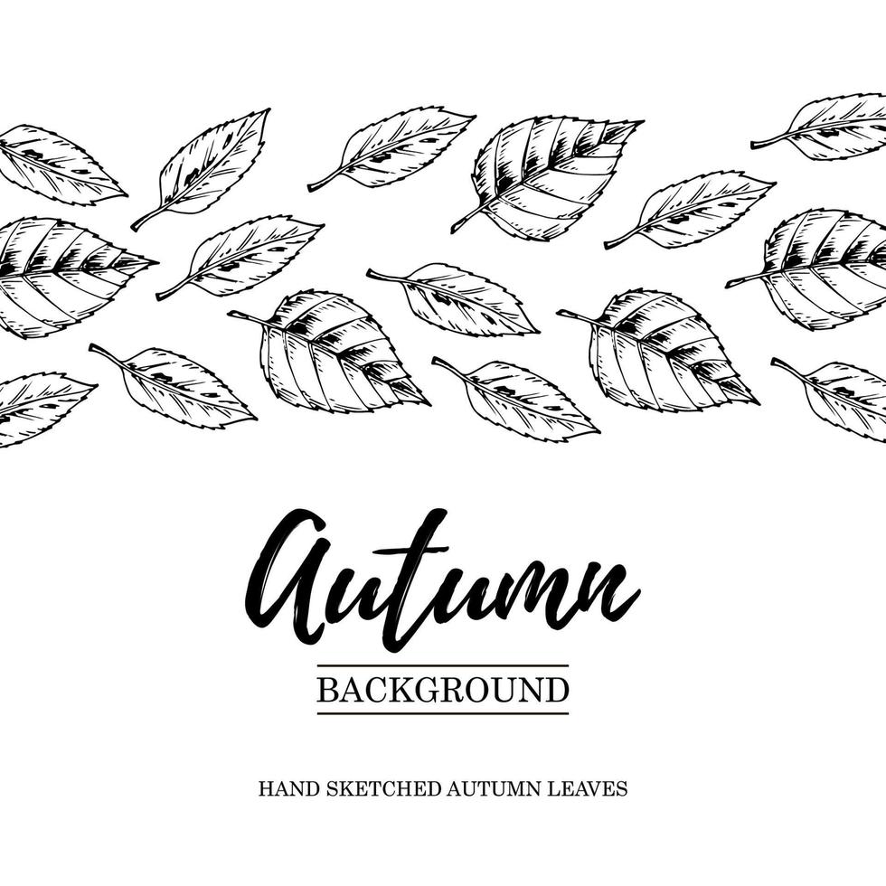 Hand drawn autumn design with falling leaves vector