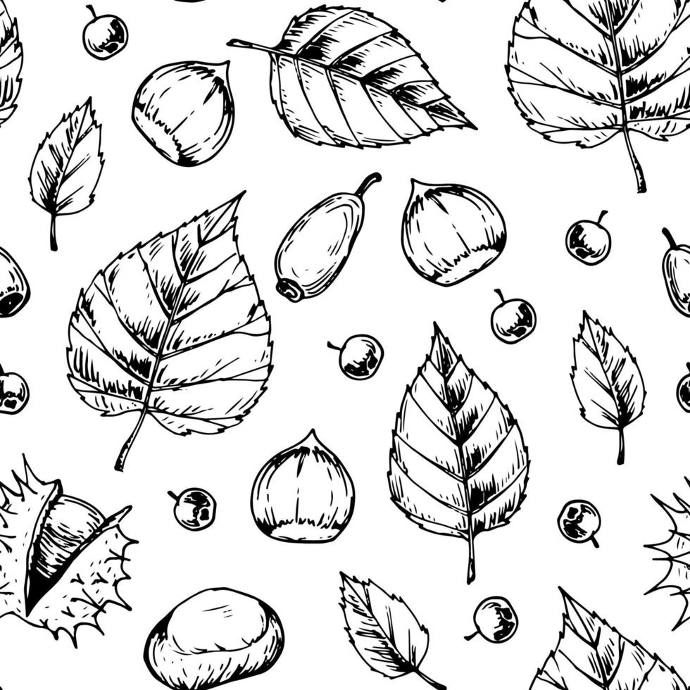 hojas de otoño de patrones sin fisuras con nueces y bayas vector