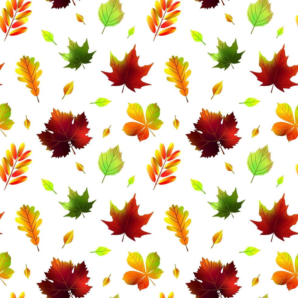 Autumn leaves seamless pattern isolated on white. Vector illustration