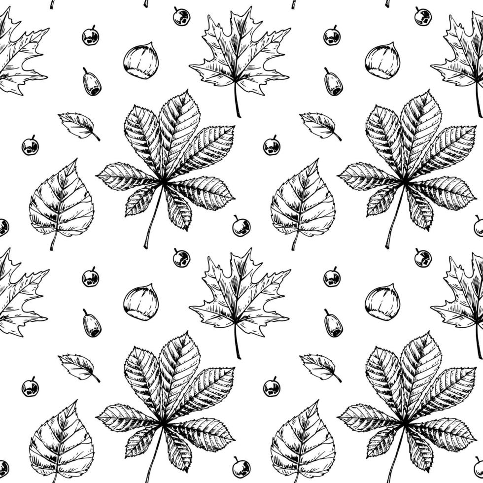 Autumn leaves seamless pattern vector