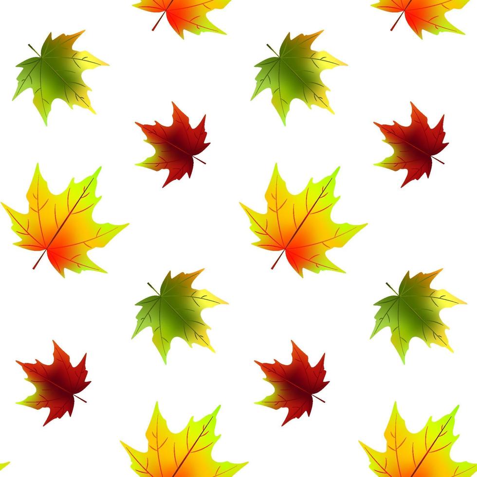 Autumn leaves seamless pattern isolated on white. Vector illustration