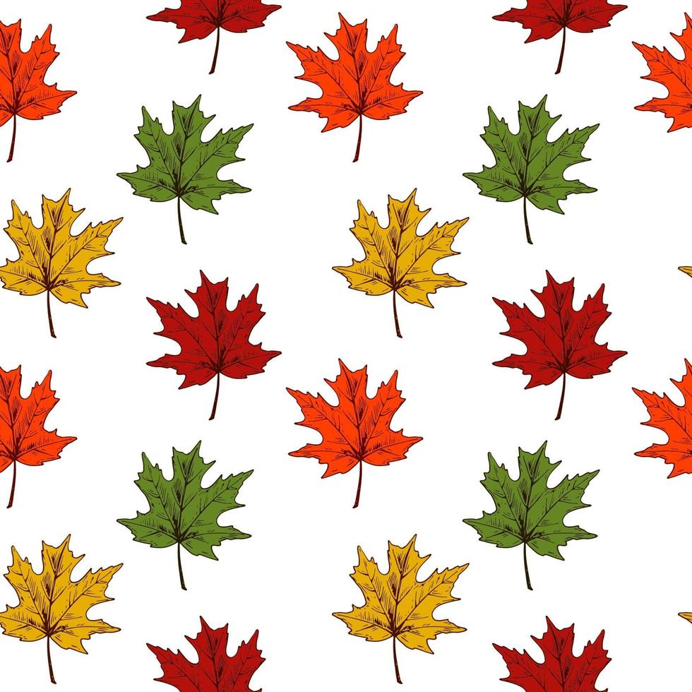 Autumn maple leaves seamless pattern vector