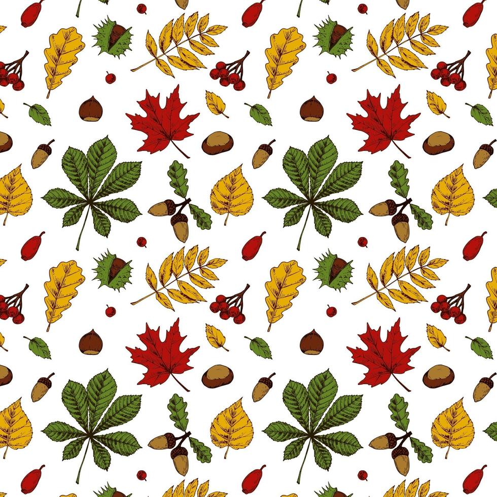 Autumn seamless pattern with leaves, acorns, nuts, berries vector