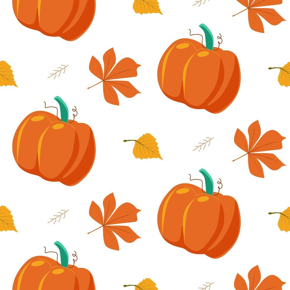 Seamless autumn pattern of pumpkins vector