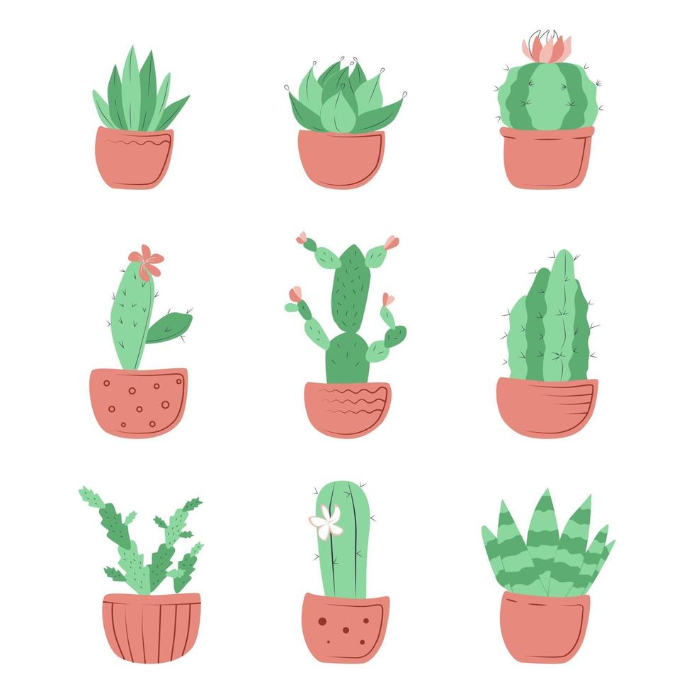 colección de flores de cactus caseras vector