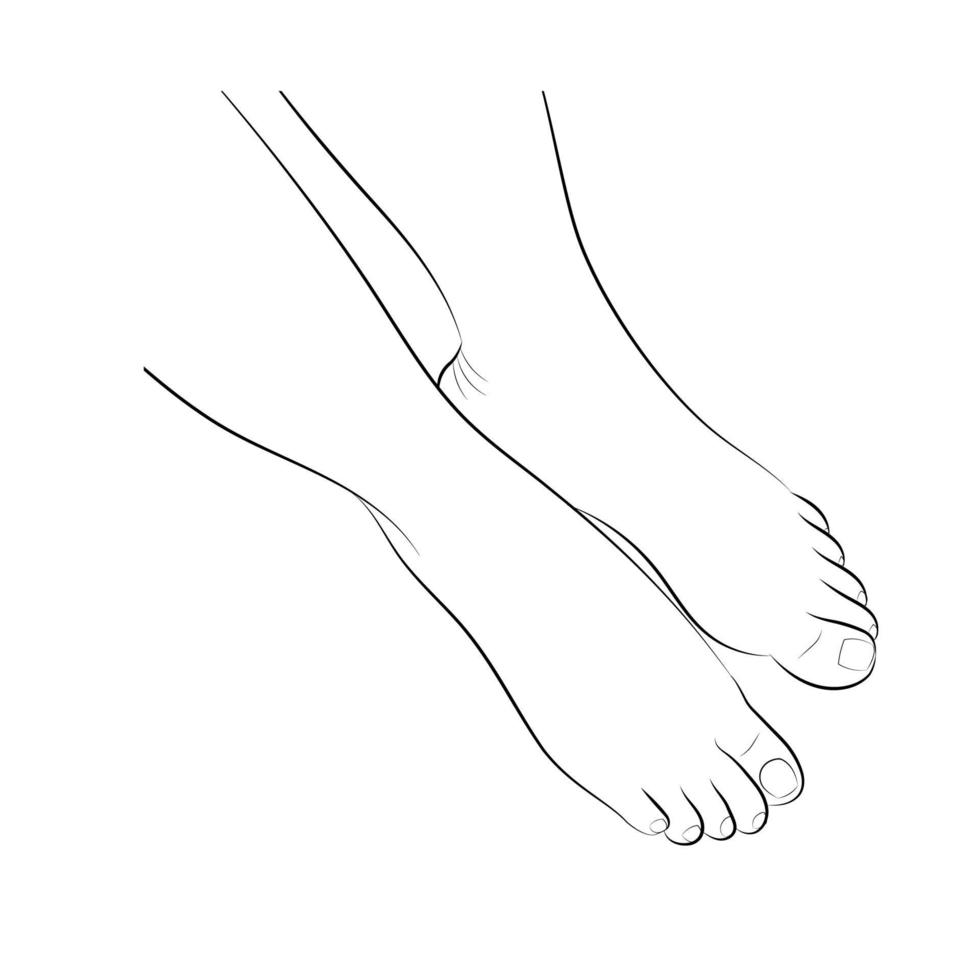 Bare female feet with neutral pedicure. vector