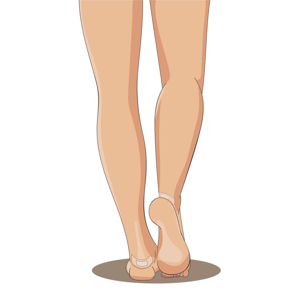 Bare female legs with strip bandage applied on both heels vector