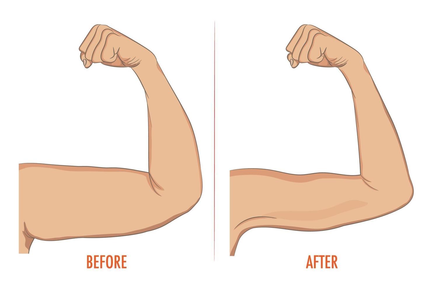 bíceps femeninos antes y después del deporte. brazos mostrando progreso después vector