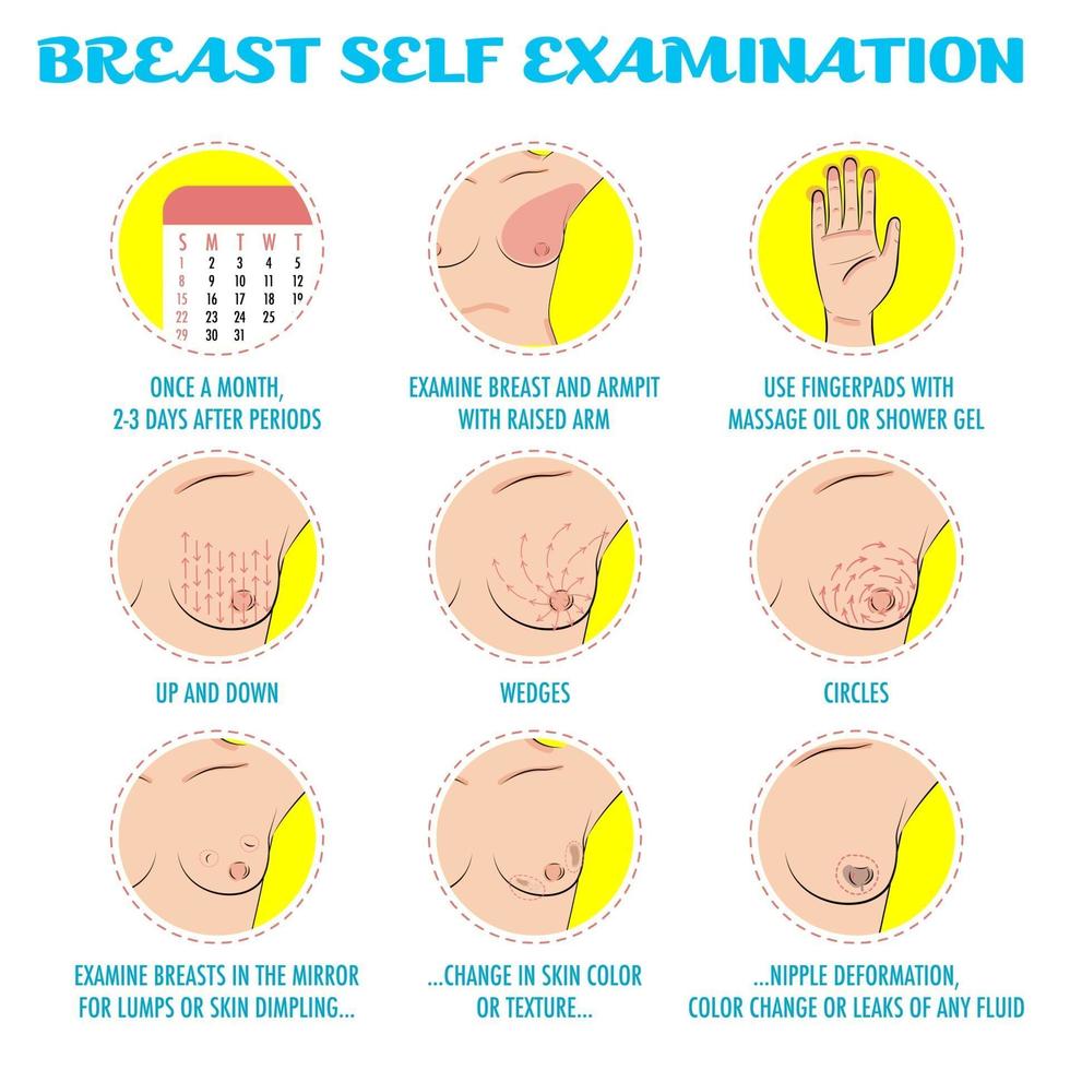 Breast self exam, breast cancer monthly examination infographics. vector