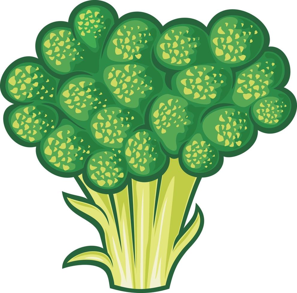 icono de vegetales de brócoli vector