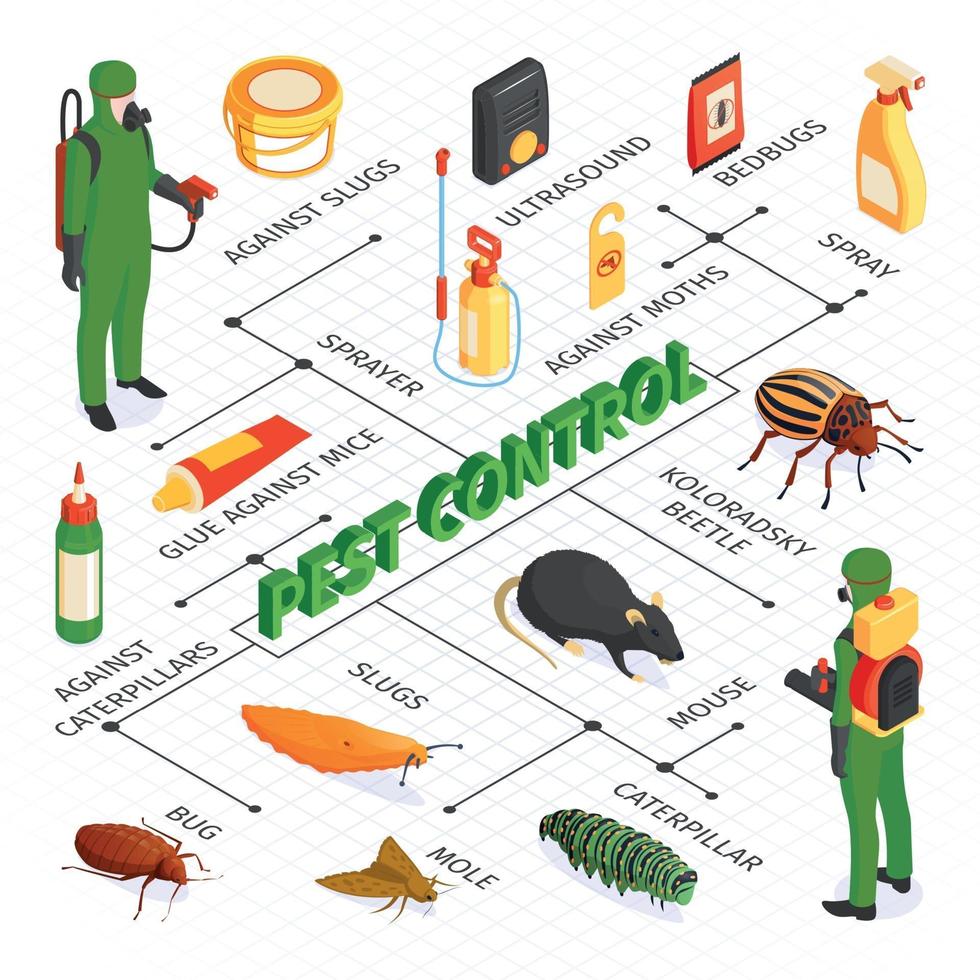 Isometric Pest Control Flowchart vector