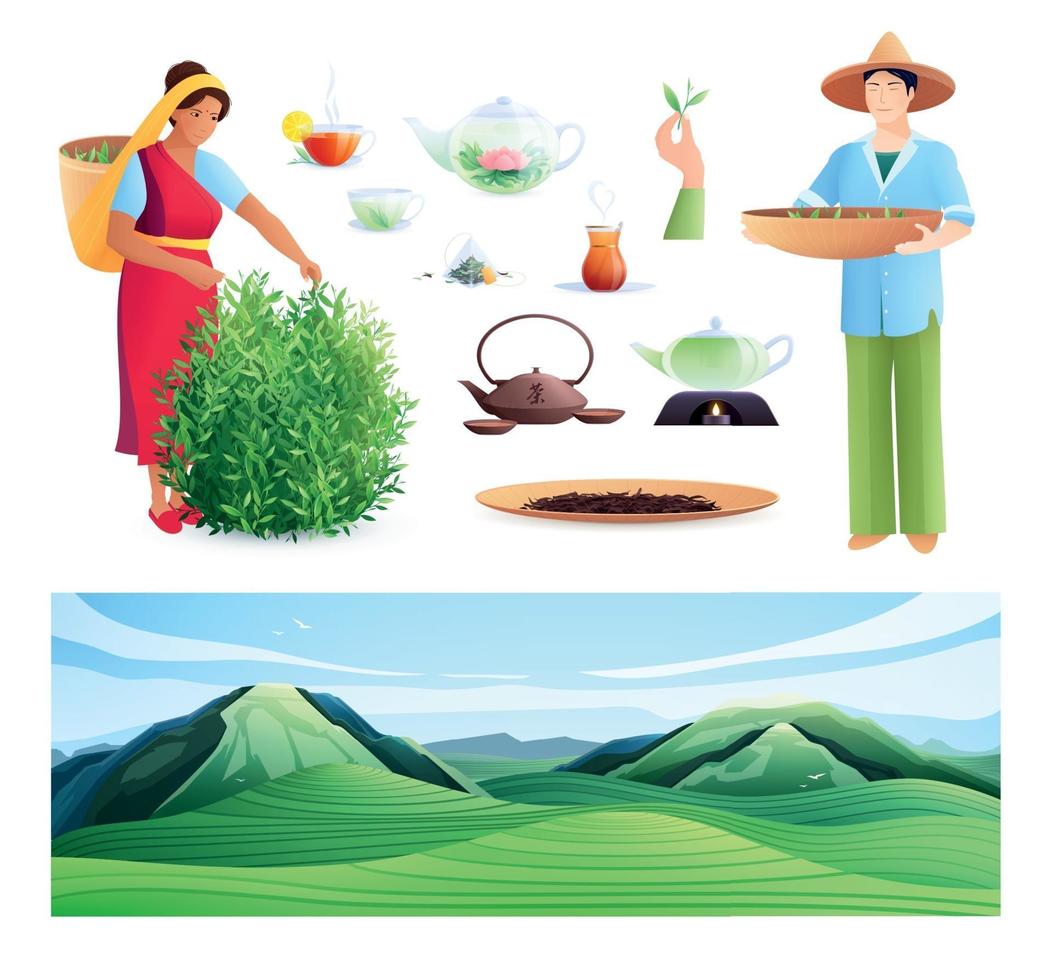 conjunto plano de producción de té natural vector