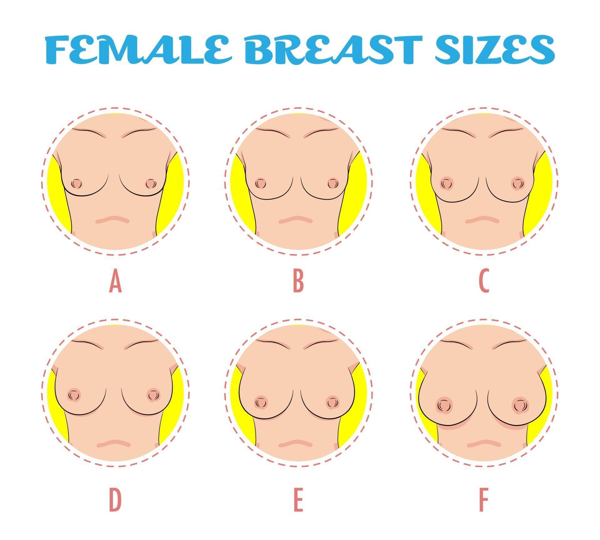 Qqq breast size