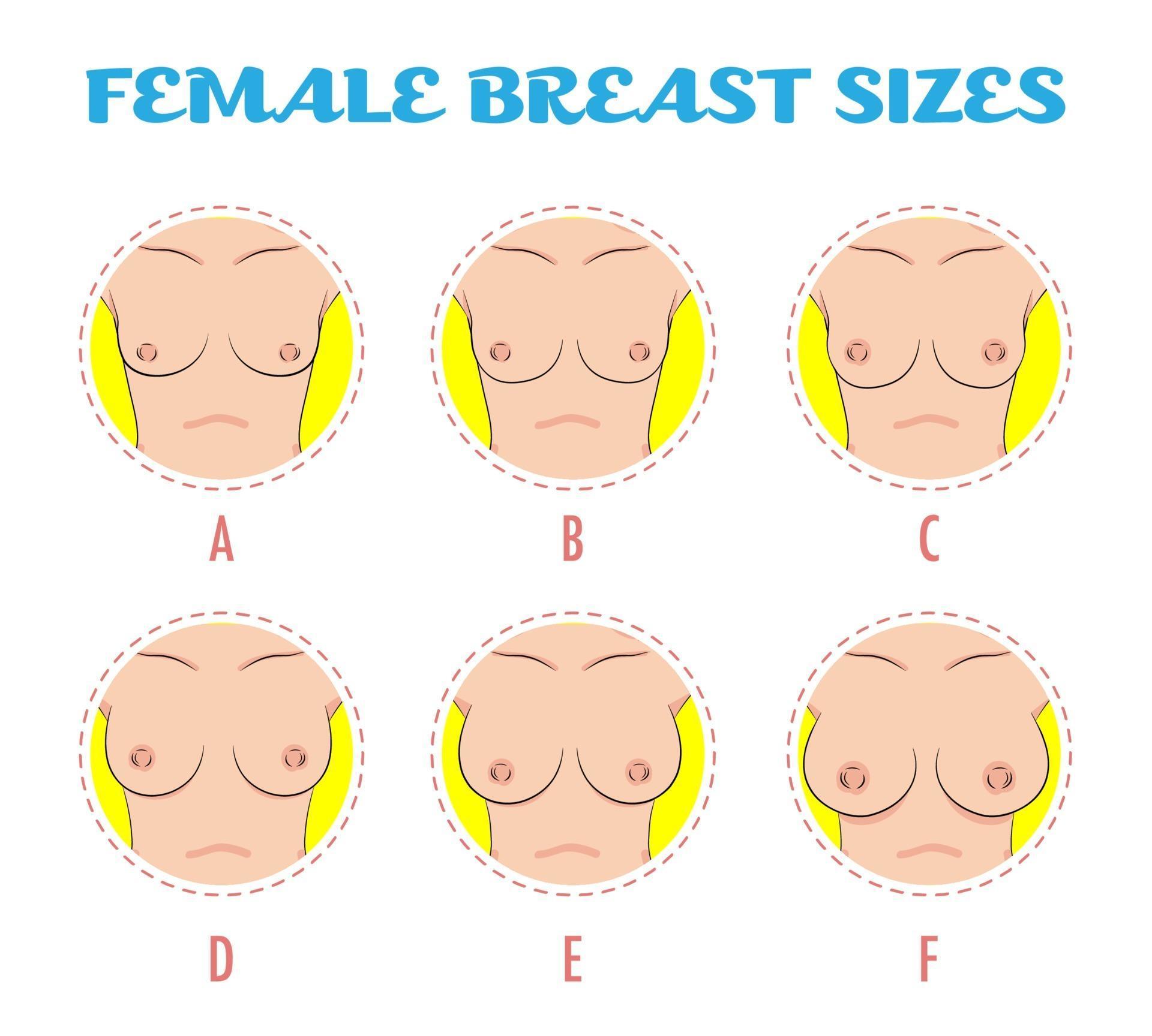 Pictures of different breast sizes