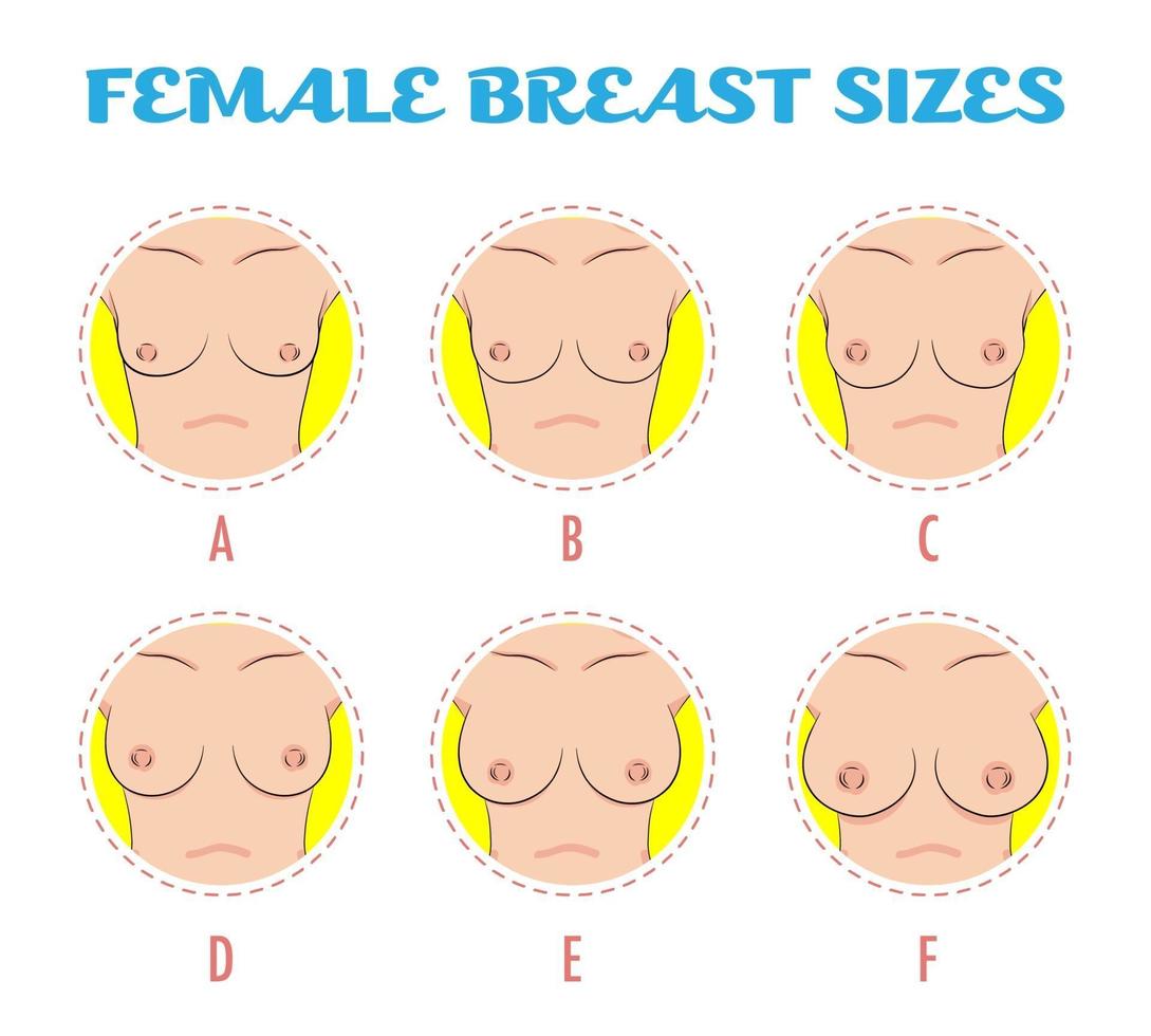 Set of colored round icons of different female breast size, body 3420594  Vector Art at Vecteezy