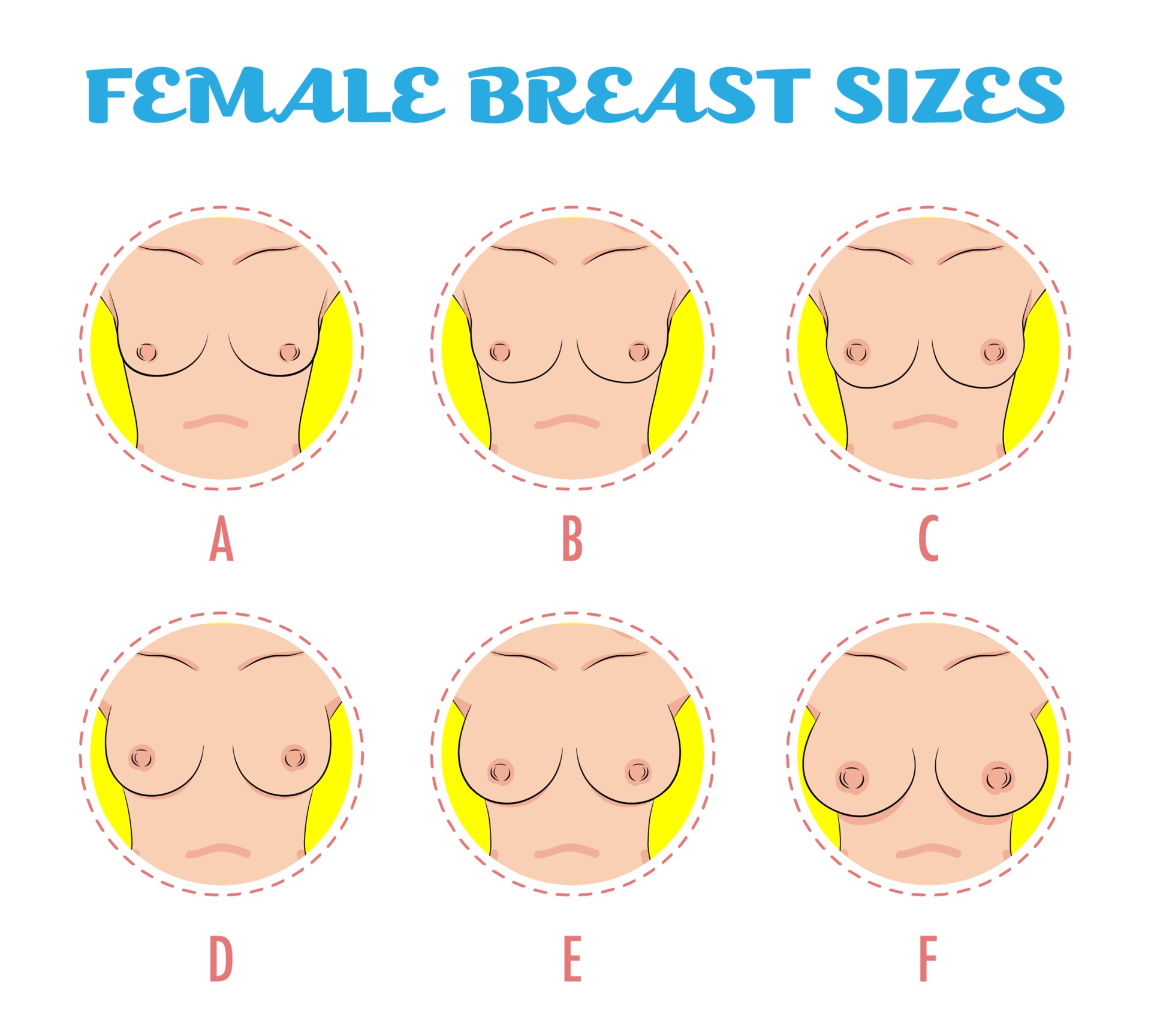 Set of colored round icons of different female breast size, body