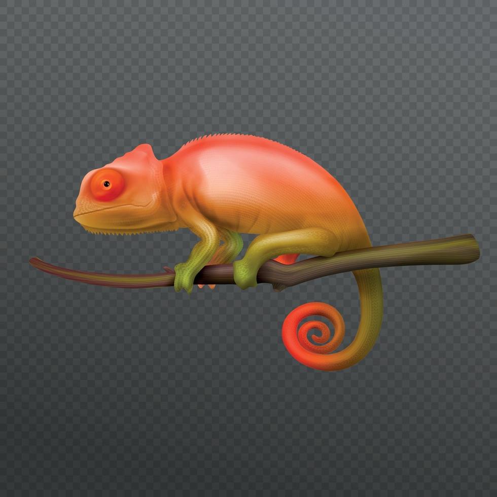 Chameleon Realistic Transparent vector