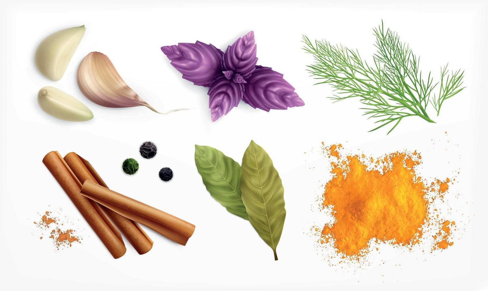 Spices And Herbs Realistic Set vector