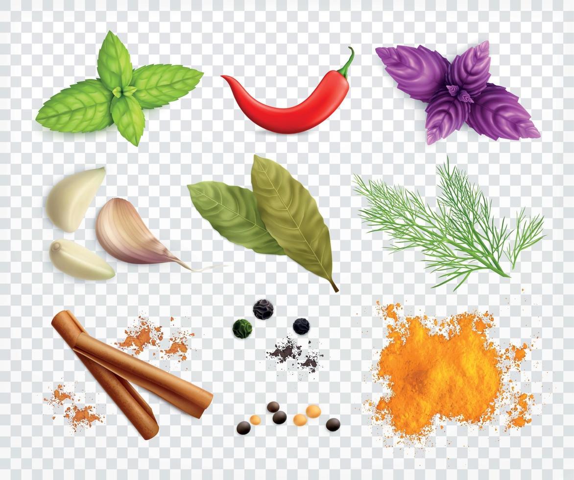 Spices And Herb Set vector