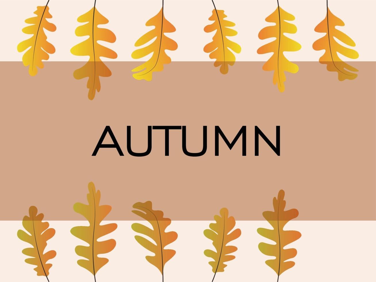 Autumn leaf dry background vector