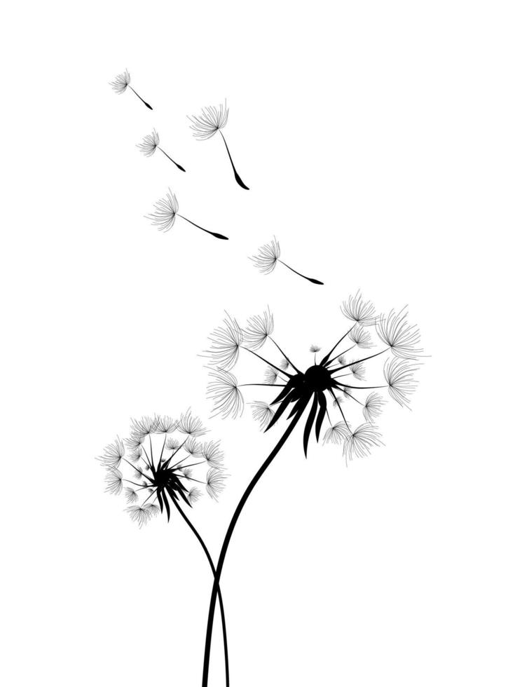 Abstract black dandelion, flying seeds of dandelion vector