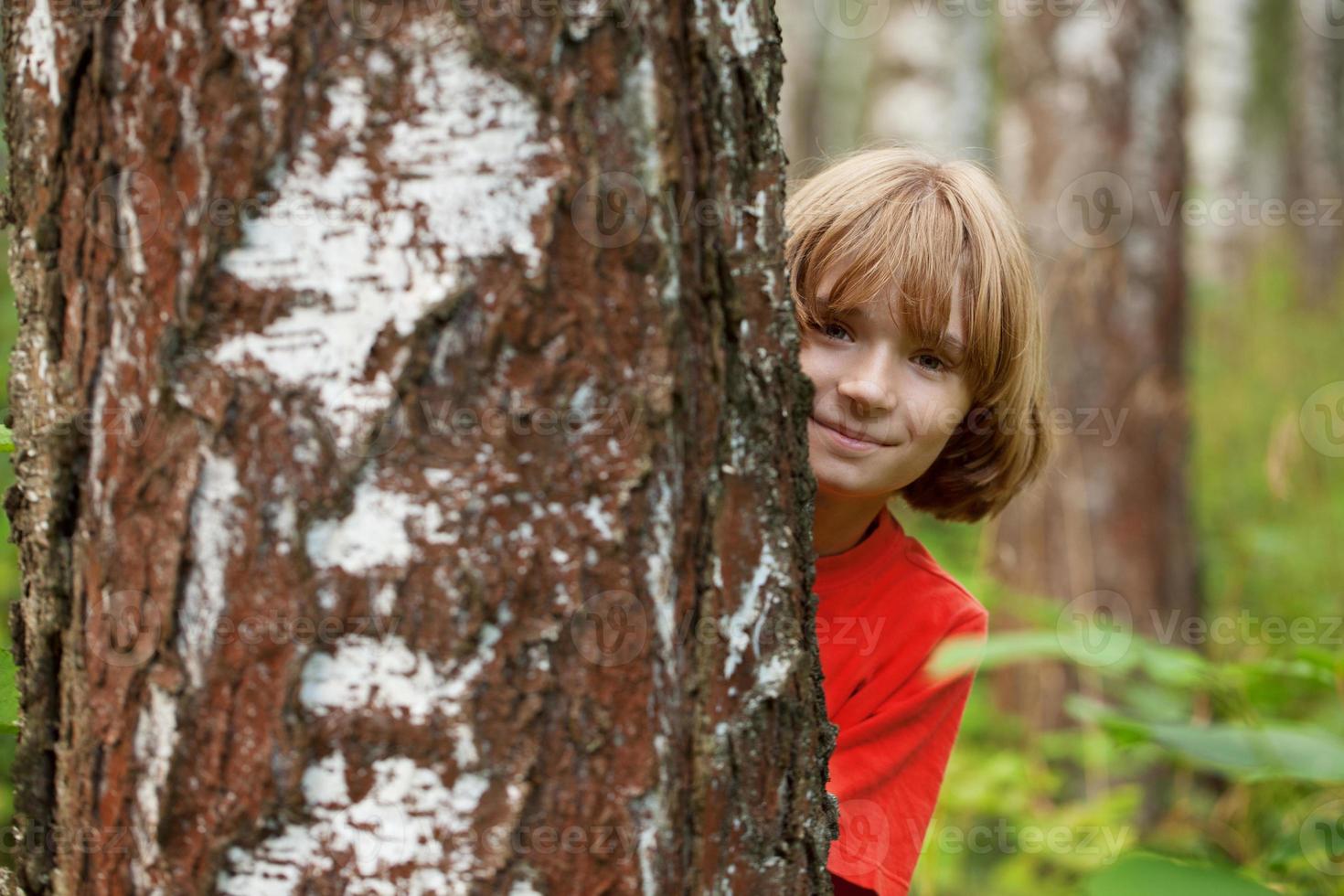 niño asoma desde detrás de un tronco de árbol foto