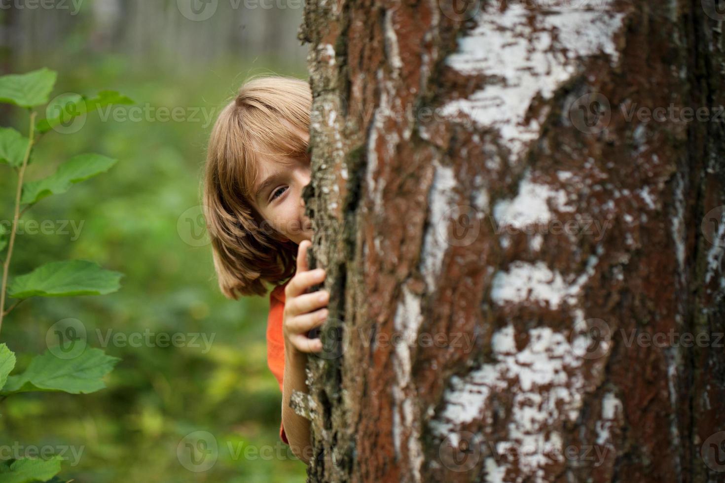 niño asoma desde detrás de un tronco de árbol foto