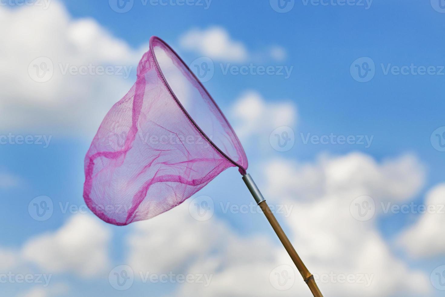 Net for catching butterflies on a background of the sky photo