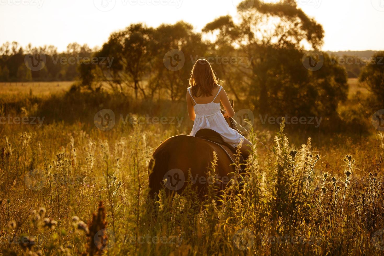 Woman in a dress riding on an adult horse photo