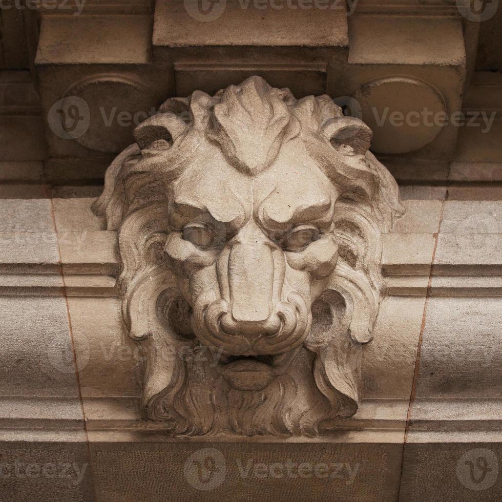 Muzzle ferocious lion carved in stone photo