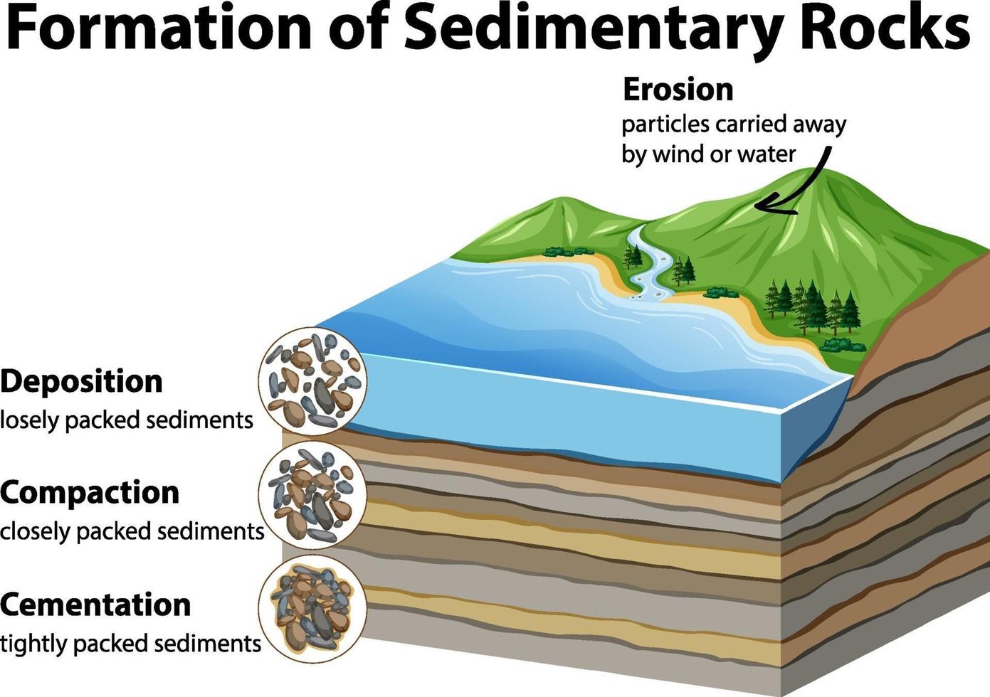 Formation of sedimentary rocks vector