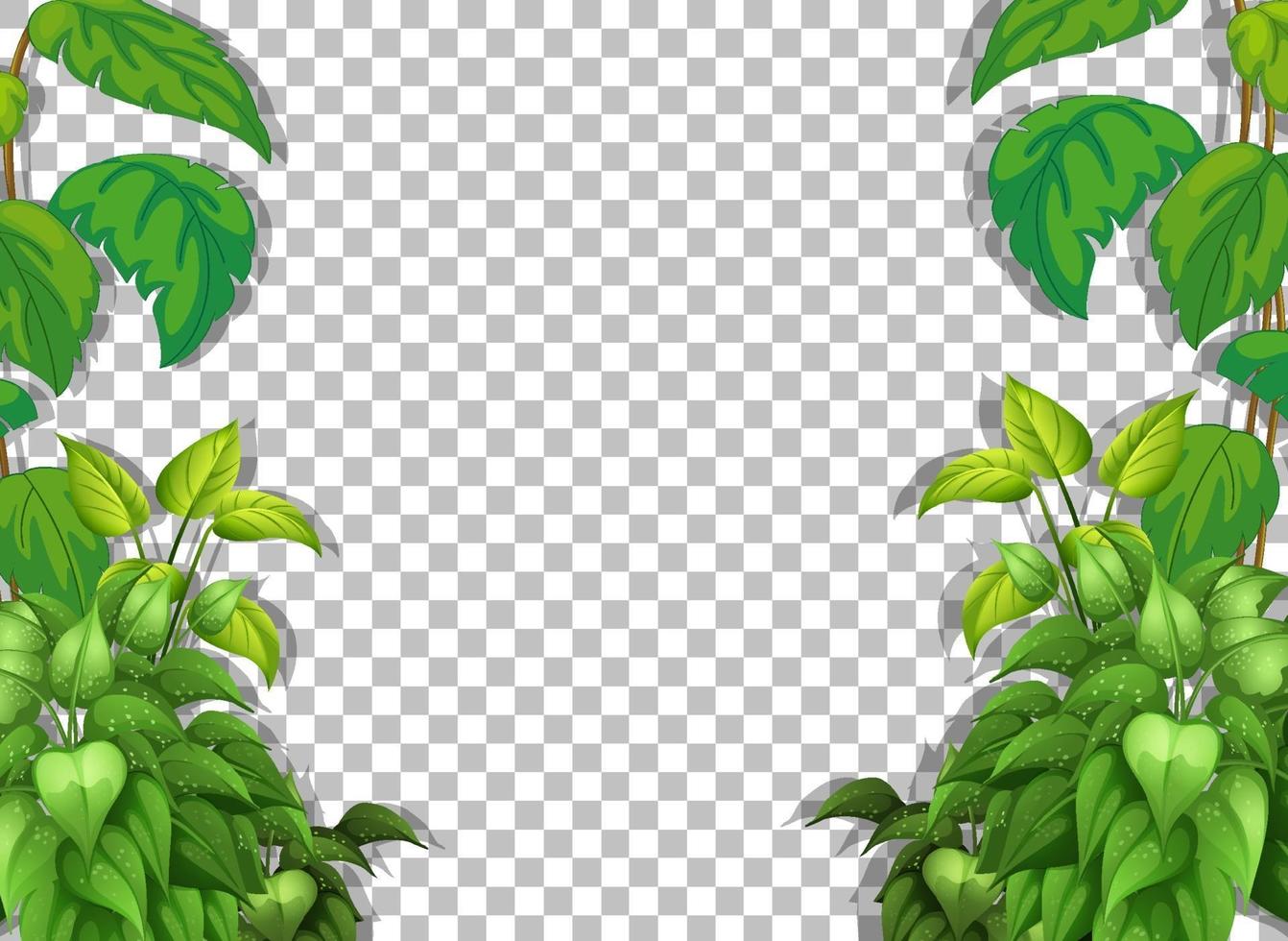 Various tropical leaves vector