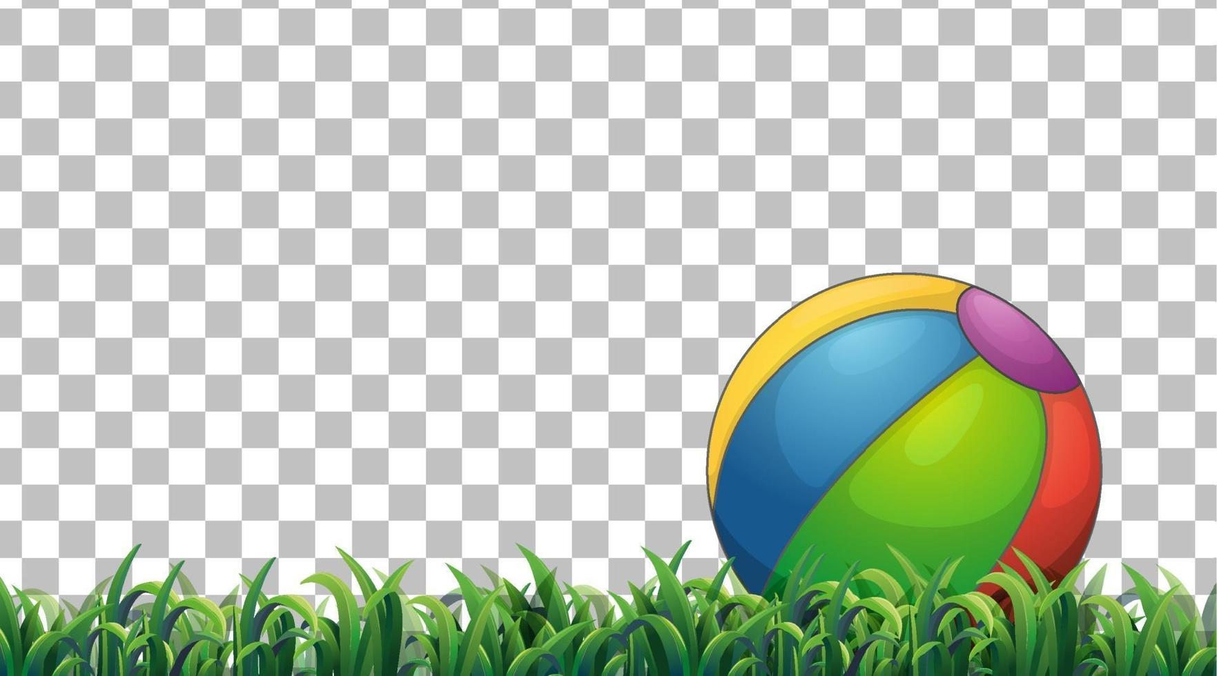 Beach ball on the grass field vector