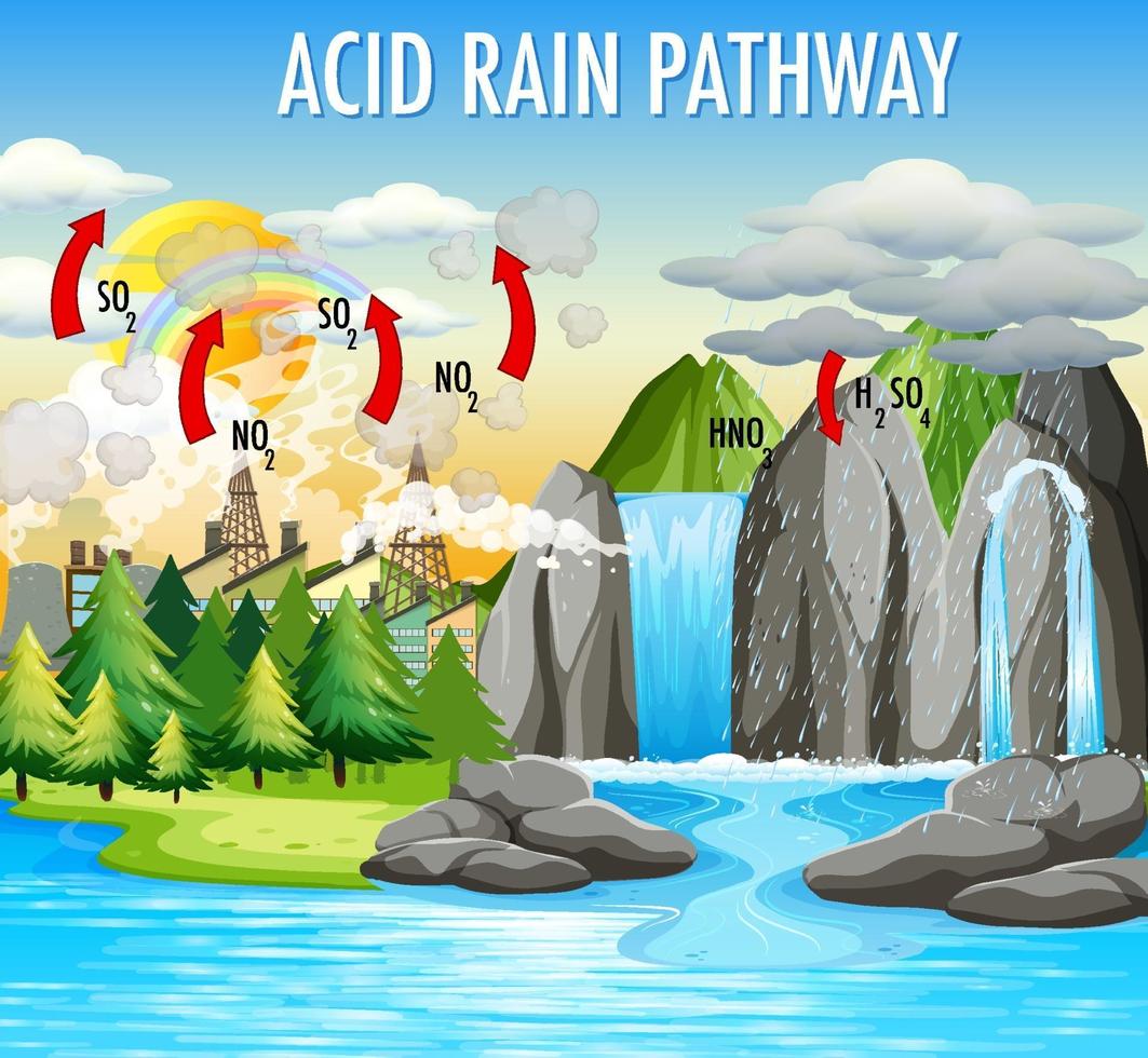 diagrama que muestra el camino de la lluvia ácida vector