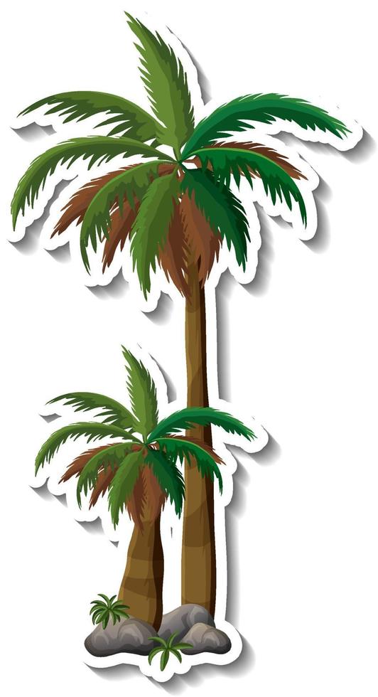 Palm tree sticker on white background vector