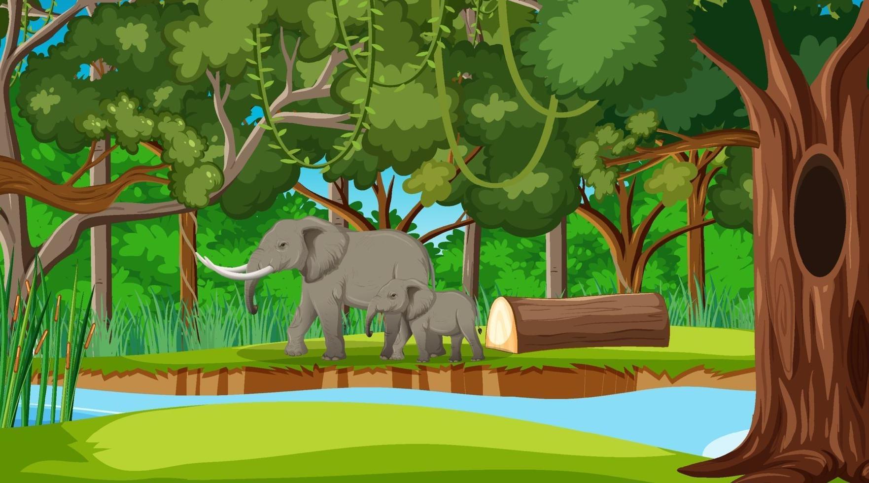 A elephant mom and baby in forest or rainforest scene with many trees vector