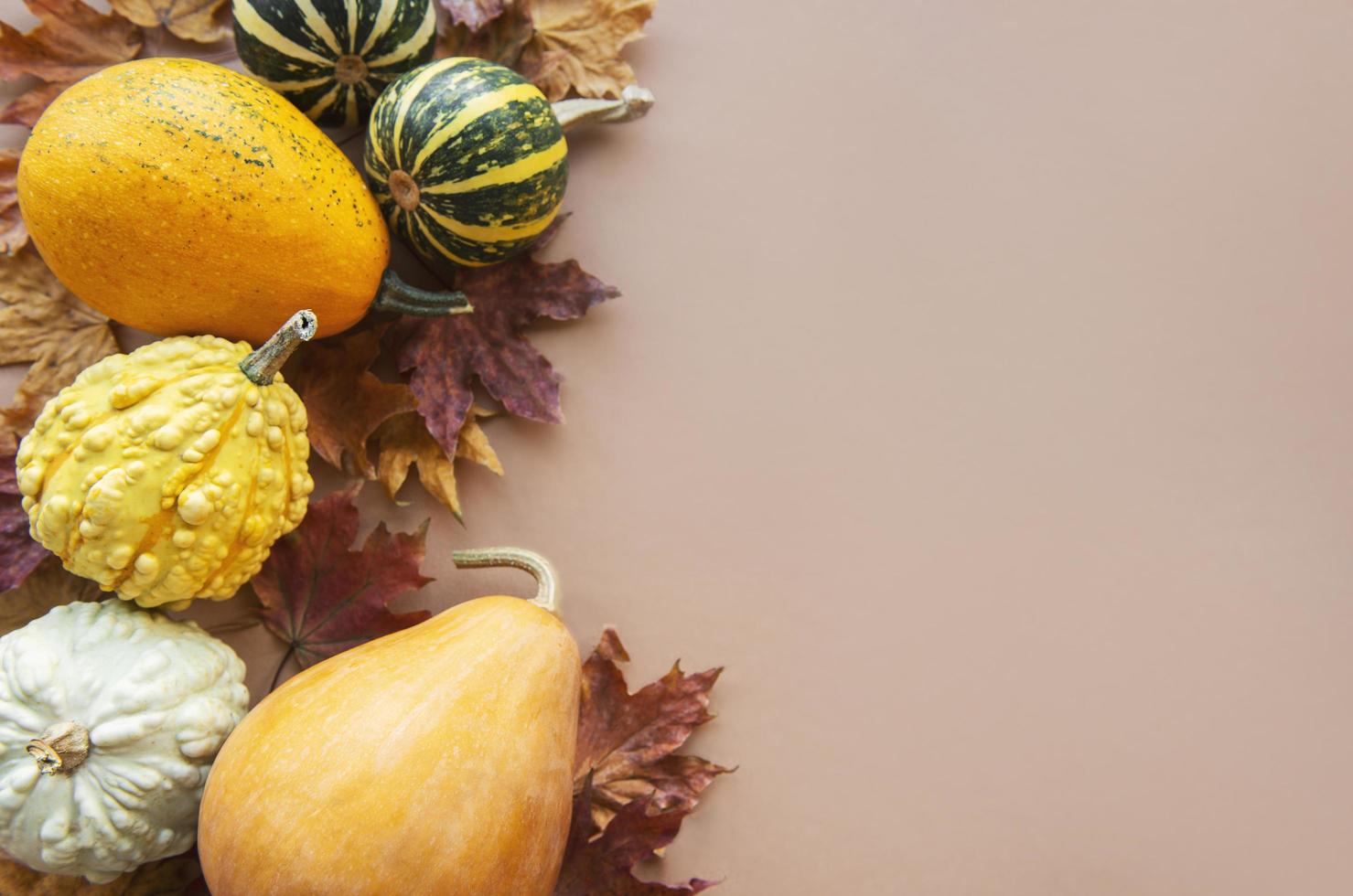 fondo de otoño con calabazas multicolores foto