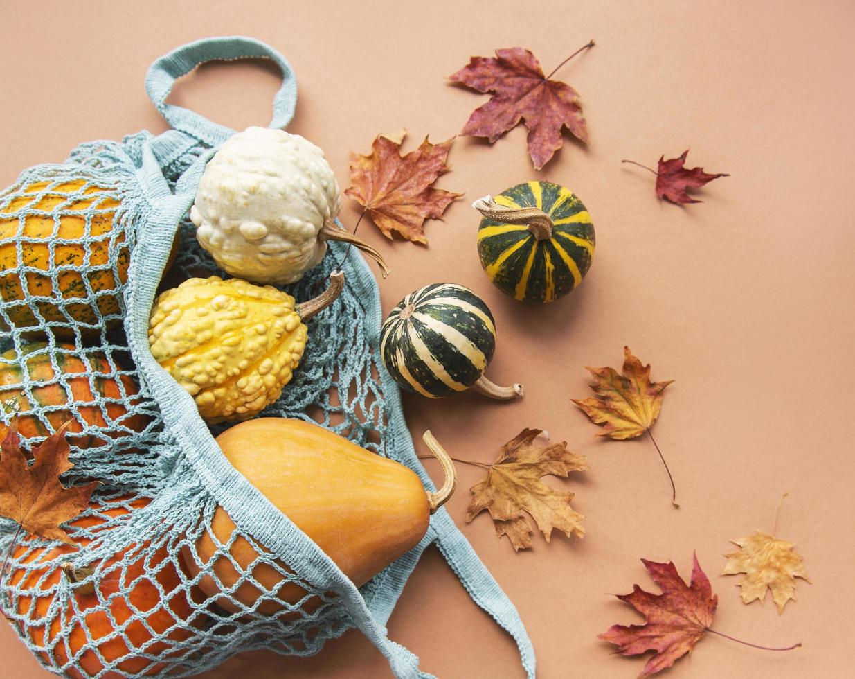 Autumn composition with assorted pumpkins in eco string bag photo