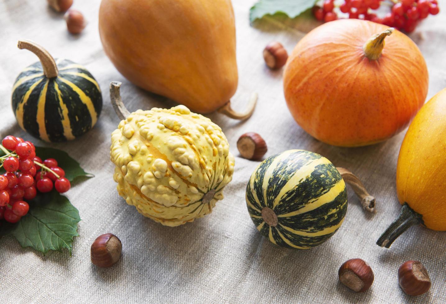 A rustic autumn still life with pumpkins photo