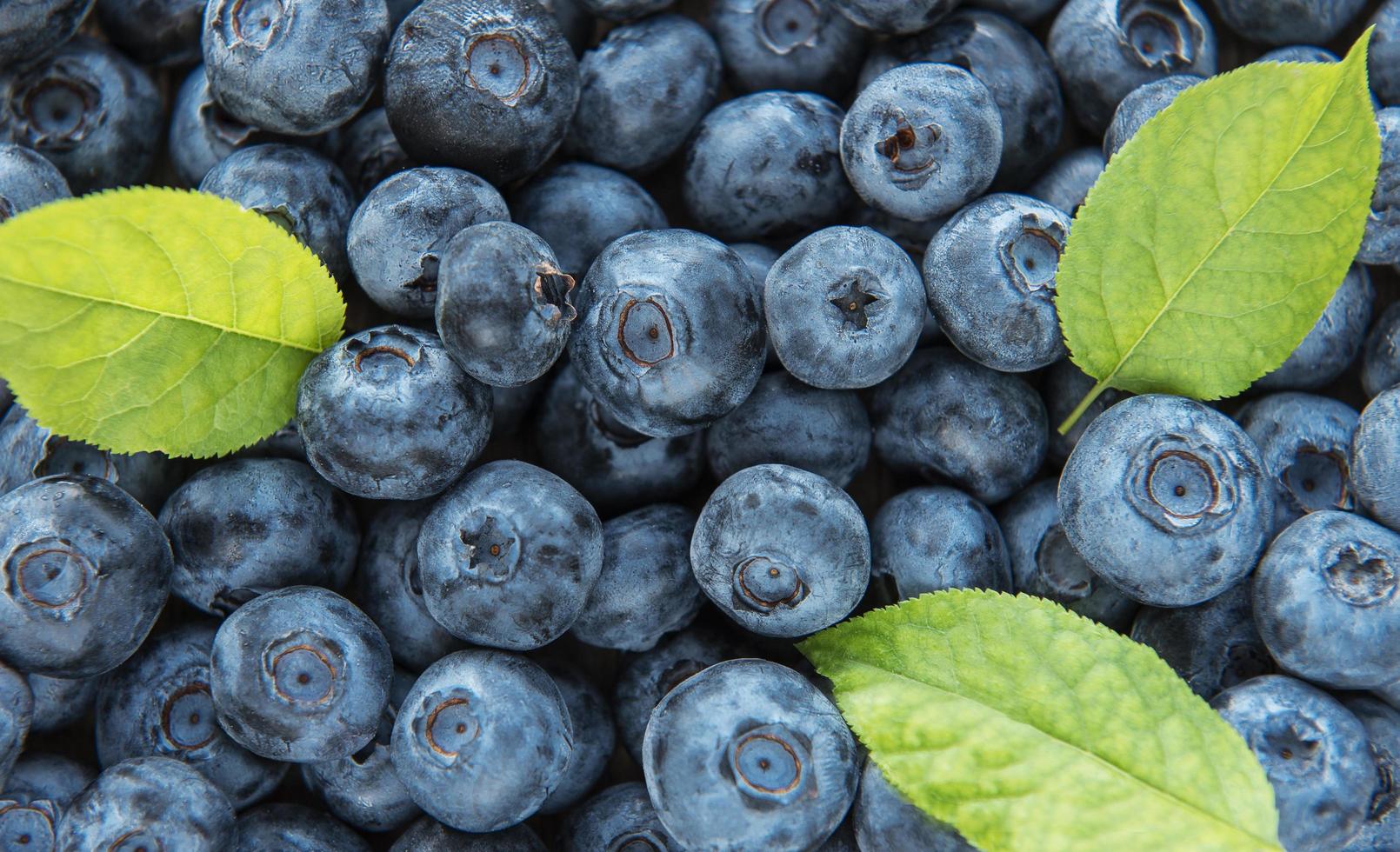 arándanos como fondo de alimentos naturales foto