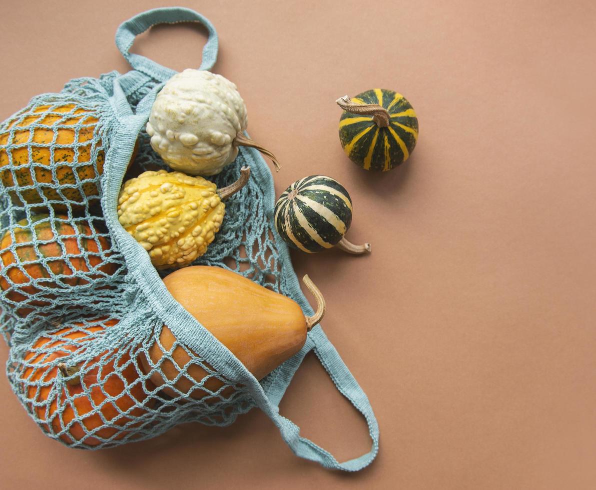 Autumn composition with assorted pumpkins in eco string bag photo