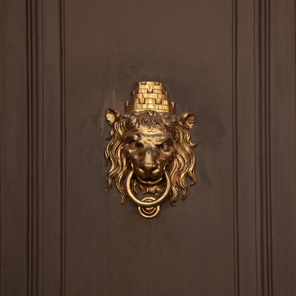 Doorhandle in the form of lion muzzle photo