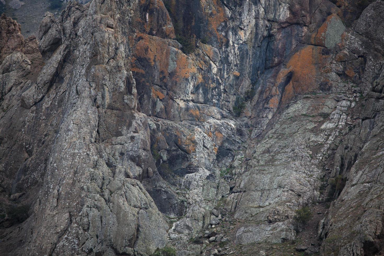 roca gris con grietas en la superficie foto