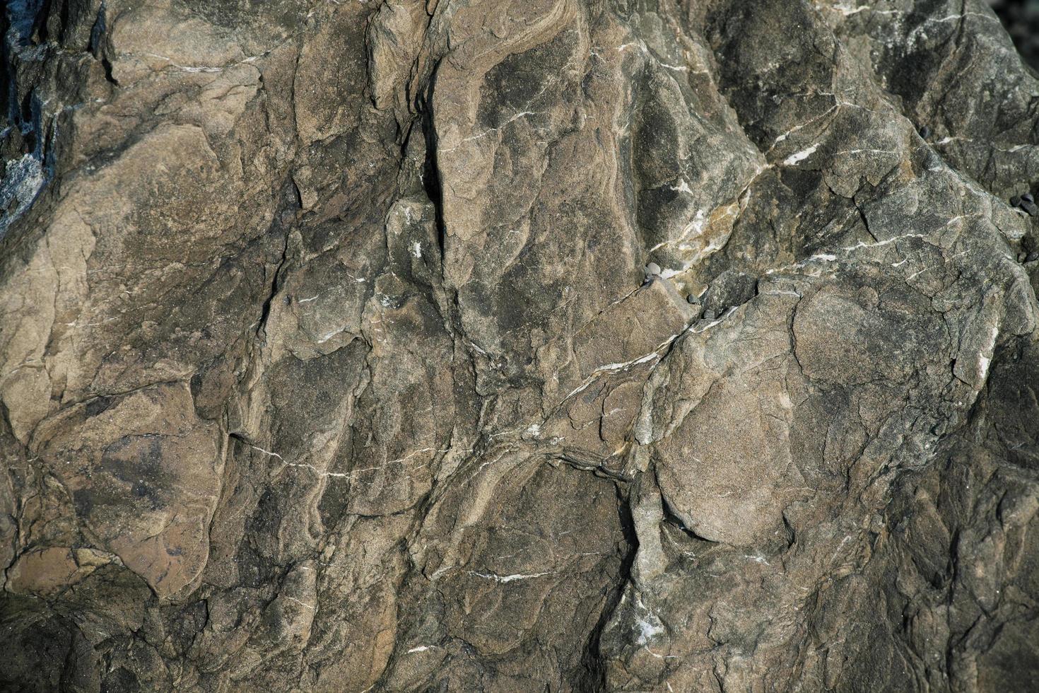 piedra marrón con protuberancias foto